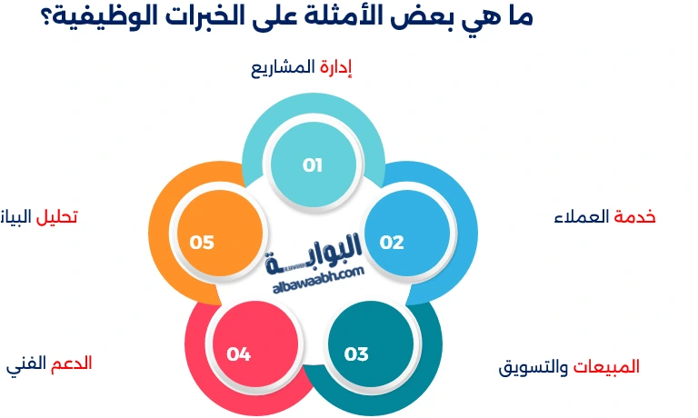 أمثلة على خبرات العمل