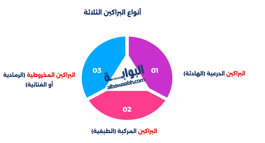 مكونات البراكين المركبة