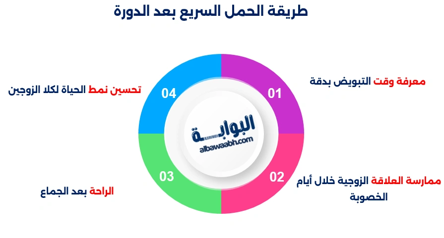 كيف يحدث الحمل