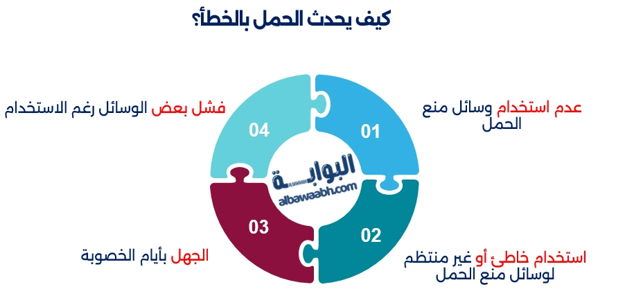 كيف يحدث الحمل