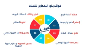 فوائد بذور اليقطين