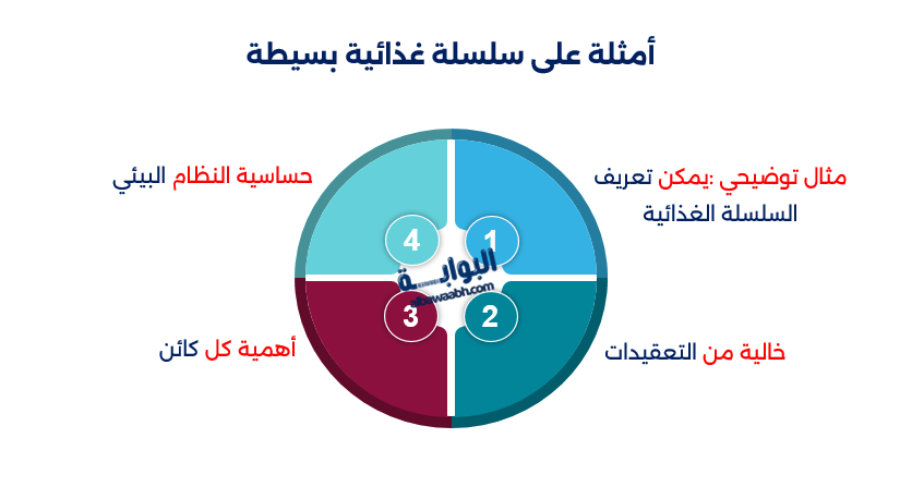 تعريف السلسلة الغذائية 