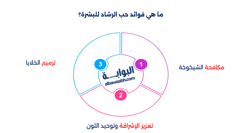 فوائد حب الرشاد