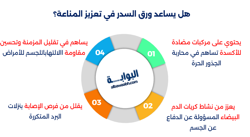 فوائد ورق السدر