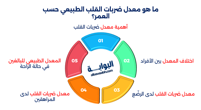 كم عدد دقات القلب السليم في الدقيقة
