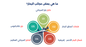 عجائب عالم البحار