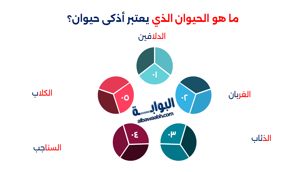ألغاز عن الحيوانات صعبة