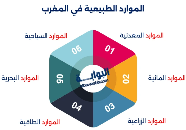 ما هي مساحة المغرب