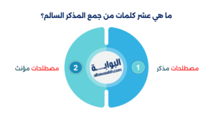أمثلة على جمع المذكر السالم