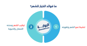 فوائد الخيار