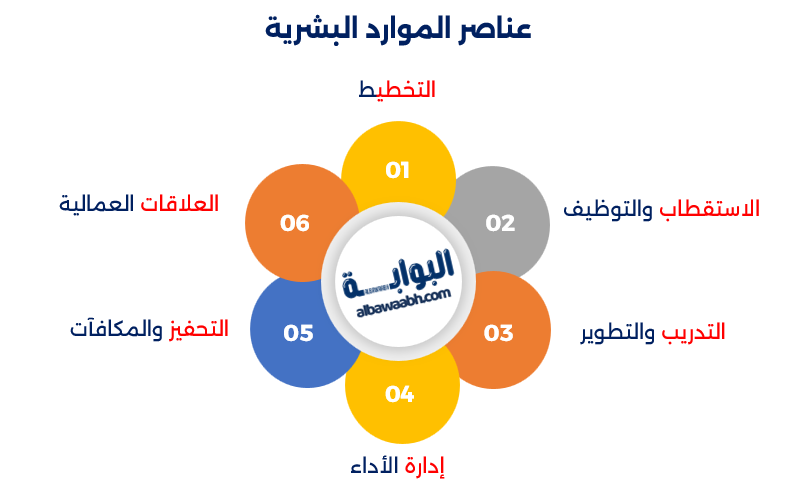 عناصر إدارة الموارد البشرية