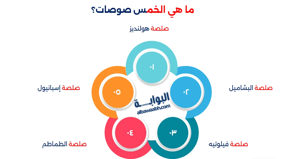 أنواع الصوصات