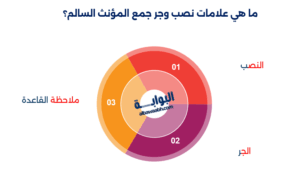 شرح جمع المؤنث السالم