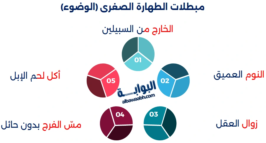 الطهارة في الإسلام