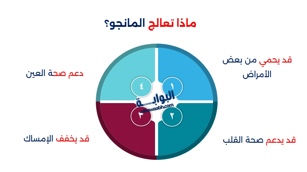 فوائد المانجو المجفف وأضراره