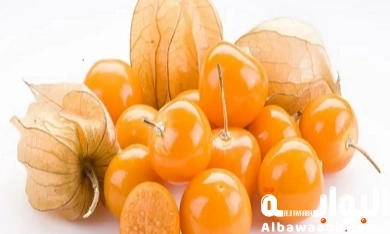 فوائد الحرنكش