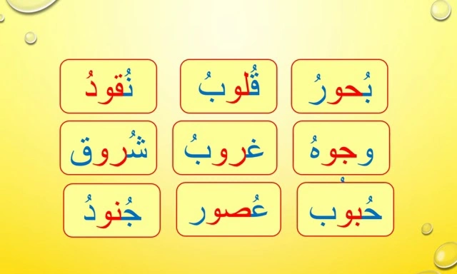 كلمات بها مد بالواو