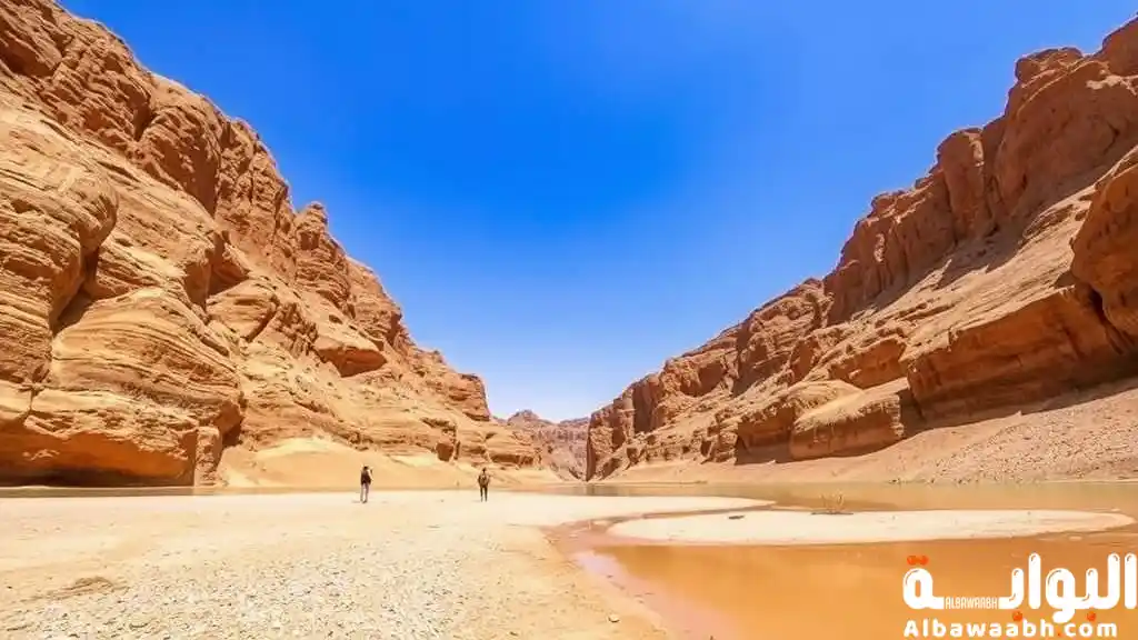 أفضل فنادق وادي الريان
