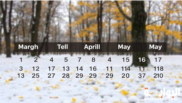 أشهر السنة الميلادية