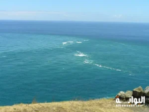 مرج البحرين