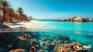 أهمية البحر الأحمر