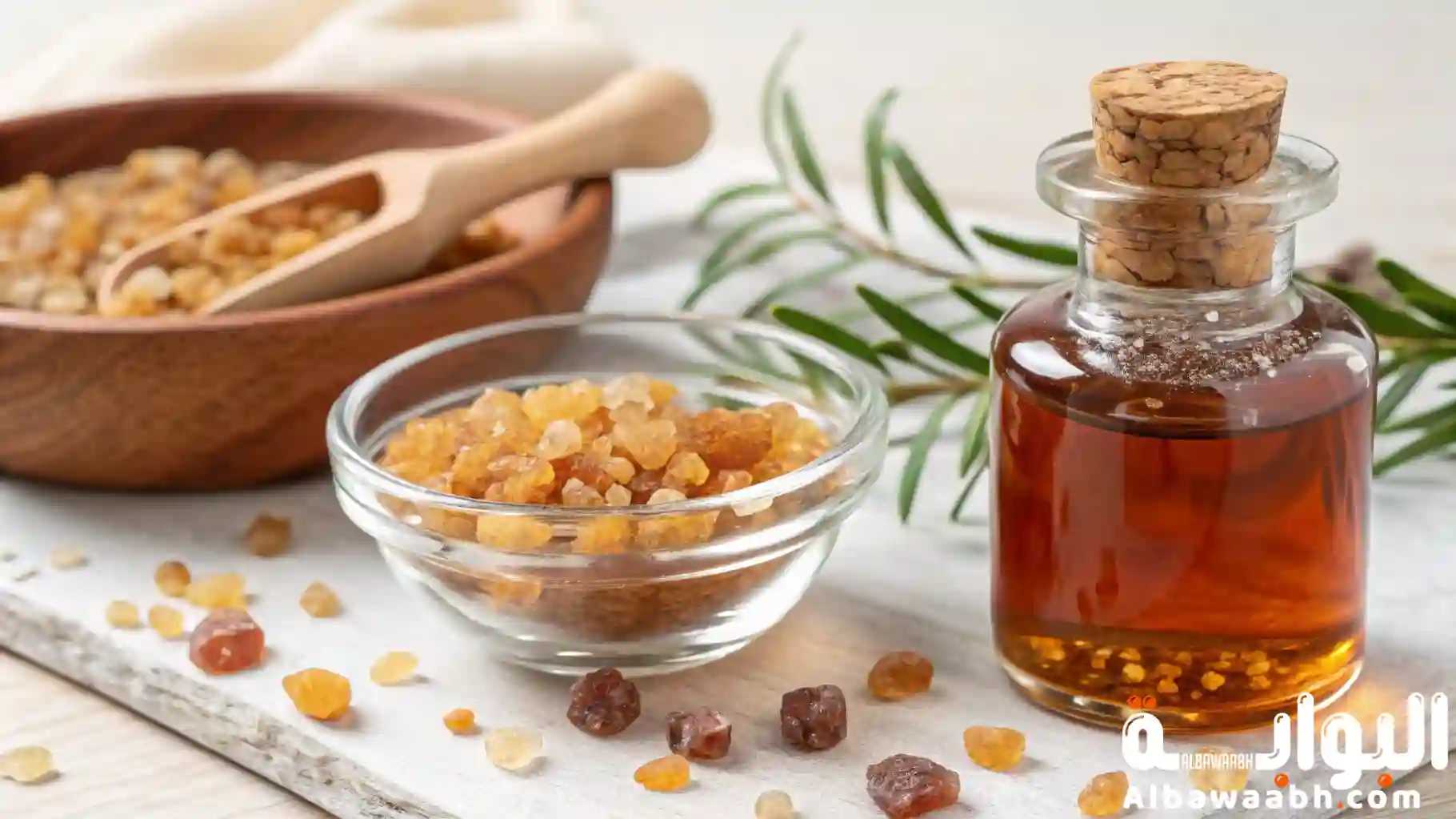 فوائد منقوع لبان الذكر