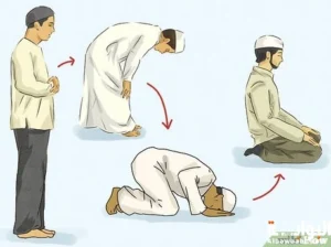 كيفية صلاة الظهر