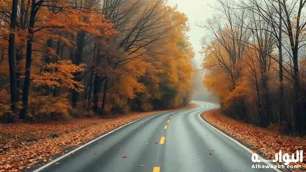 أقوال عن الحياة