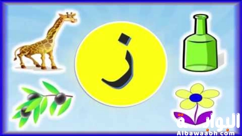 كلمات بحرف ز