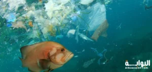 أسباب تلوث البحار