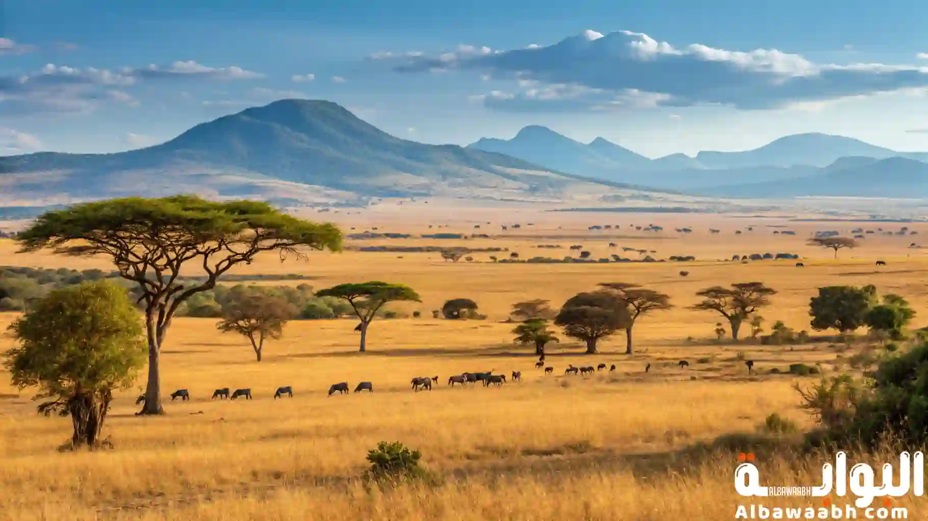 عاصمة جنوب أفريقيا
