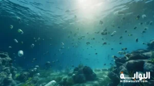 أسباب تلوث البحار