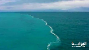 مرج البحرين