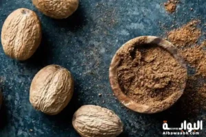 فوائد جوز الطيب
