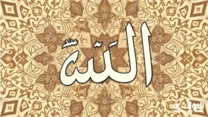 أمثلة على أحكام الميم الساكنة