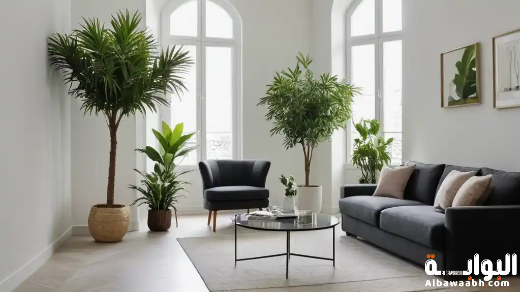 تنسيق نباتات داخلية