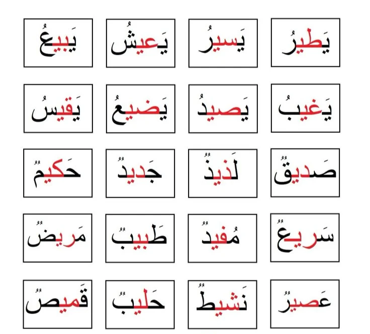 كلمات بها مد بالياء