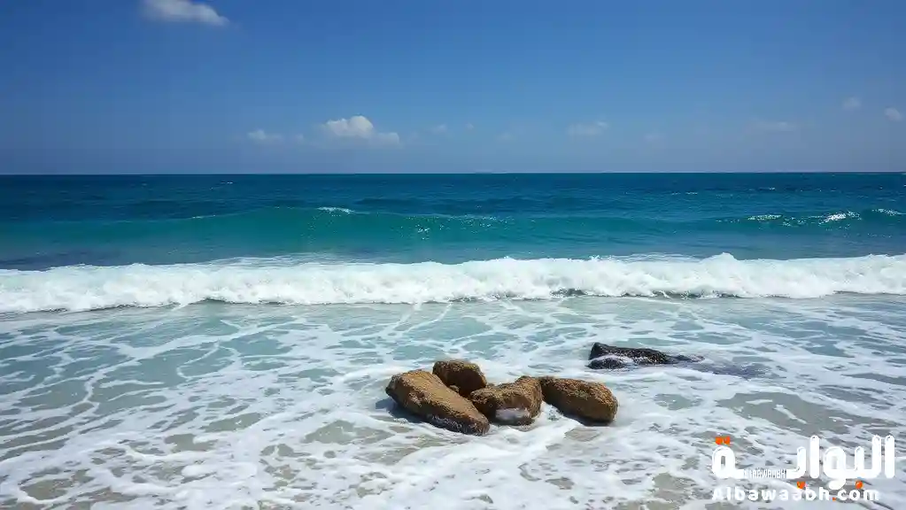 أهمية البحار