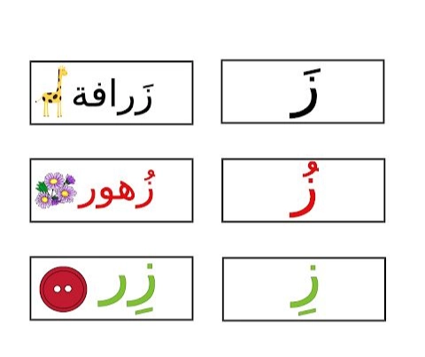 كلمات بحرف ز