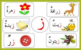 ما هي الأسماء التي تبدأ بحرف ز؟