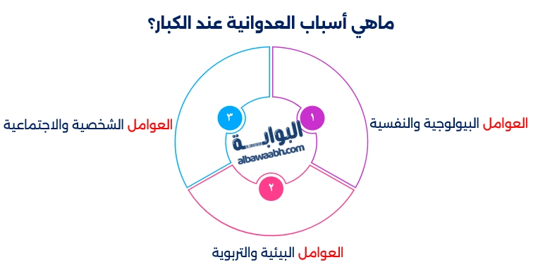 أسباب السلوك العدواني عند البالغين