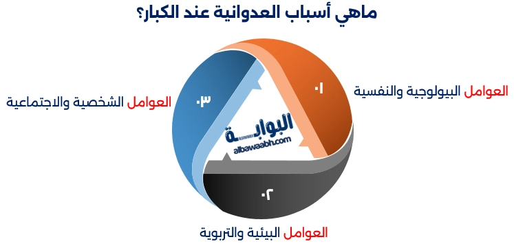 أسباب السلوك العدواني عند البالغين