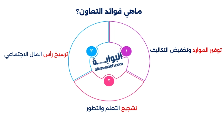 أهمية التعاون في المجتمع