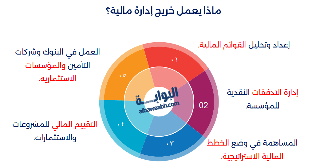 تخصص الإدارة المالية