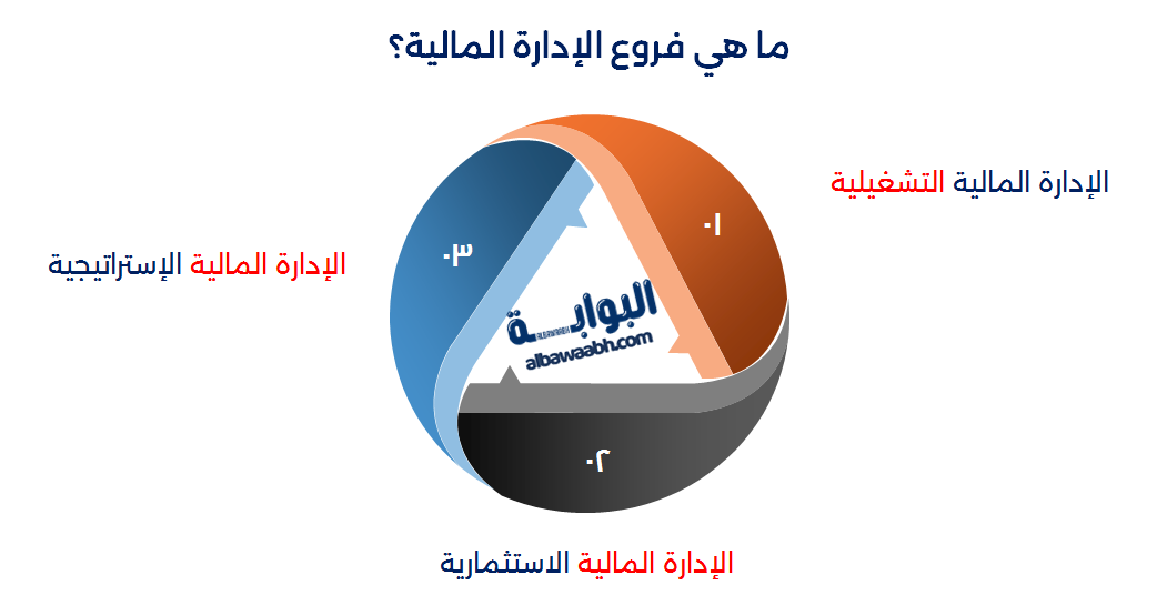 أقسام الإدارة المالية في الشركات