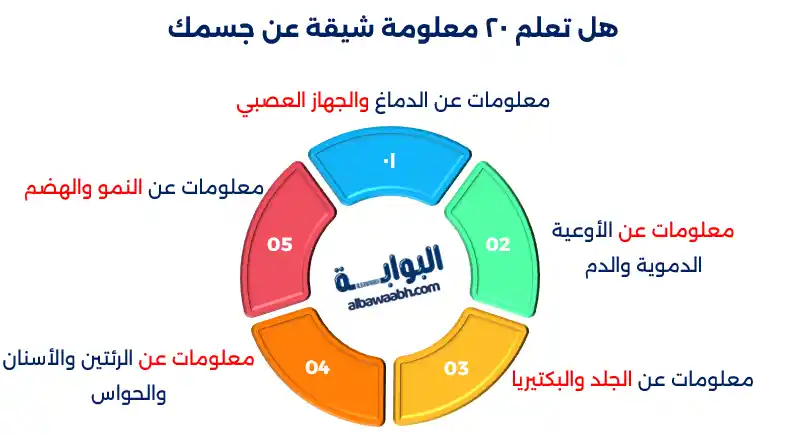 معلومة مفيدة