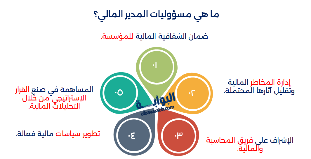 ما هو المدير المالي؟