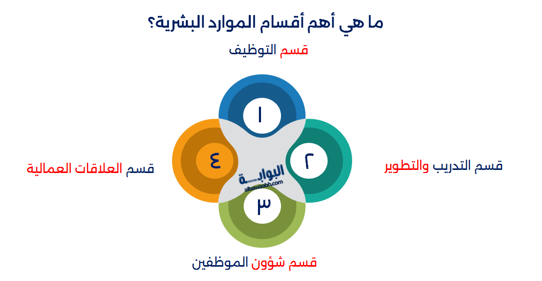 الأدوار الأربعة لإدارة الموارد البشرية