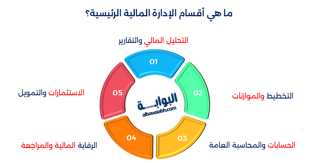 أقسام الإدارة المالية في الشركات