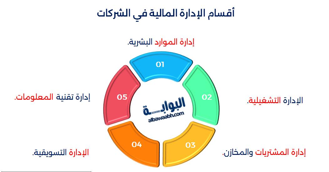 أقسام الإدارة المالية في الشركات